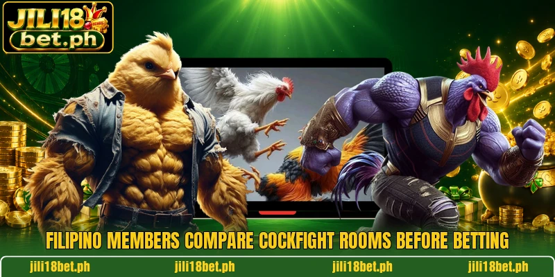 Filipino members compare cockfight rooms before betting Filipino members compare cockfight rooms before betting